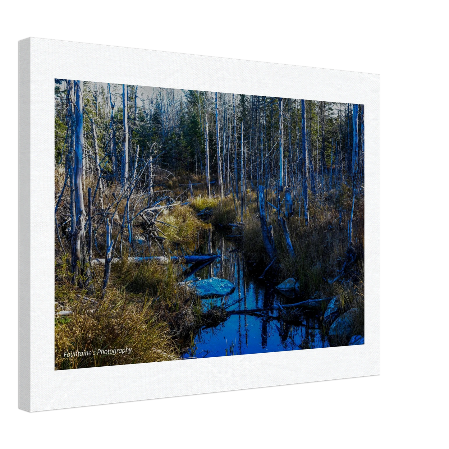 23d036e0-d3ed-44bf-9f60-6f43ed4cf935