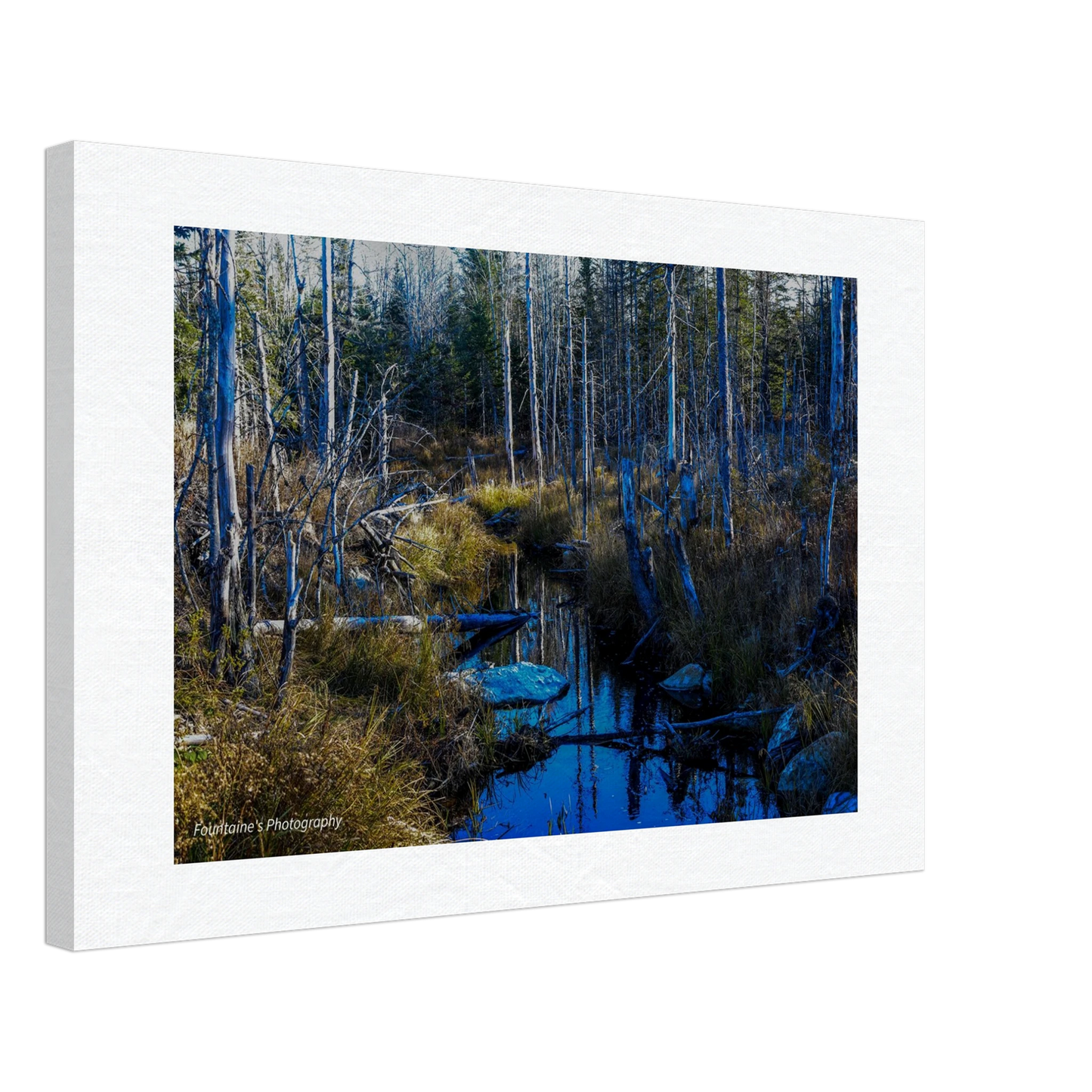 708cac71-a0dd-4899-b5e8-859c9ea08db9