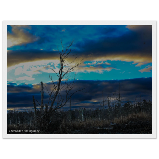 7d7004ed-7a61-4dbe-b12d-15c9af8a3929