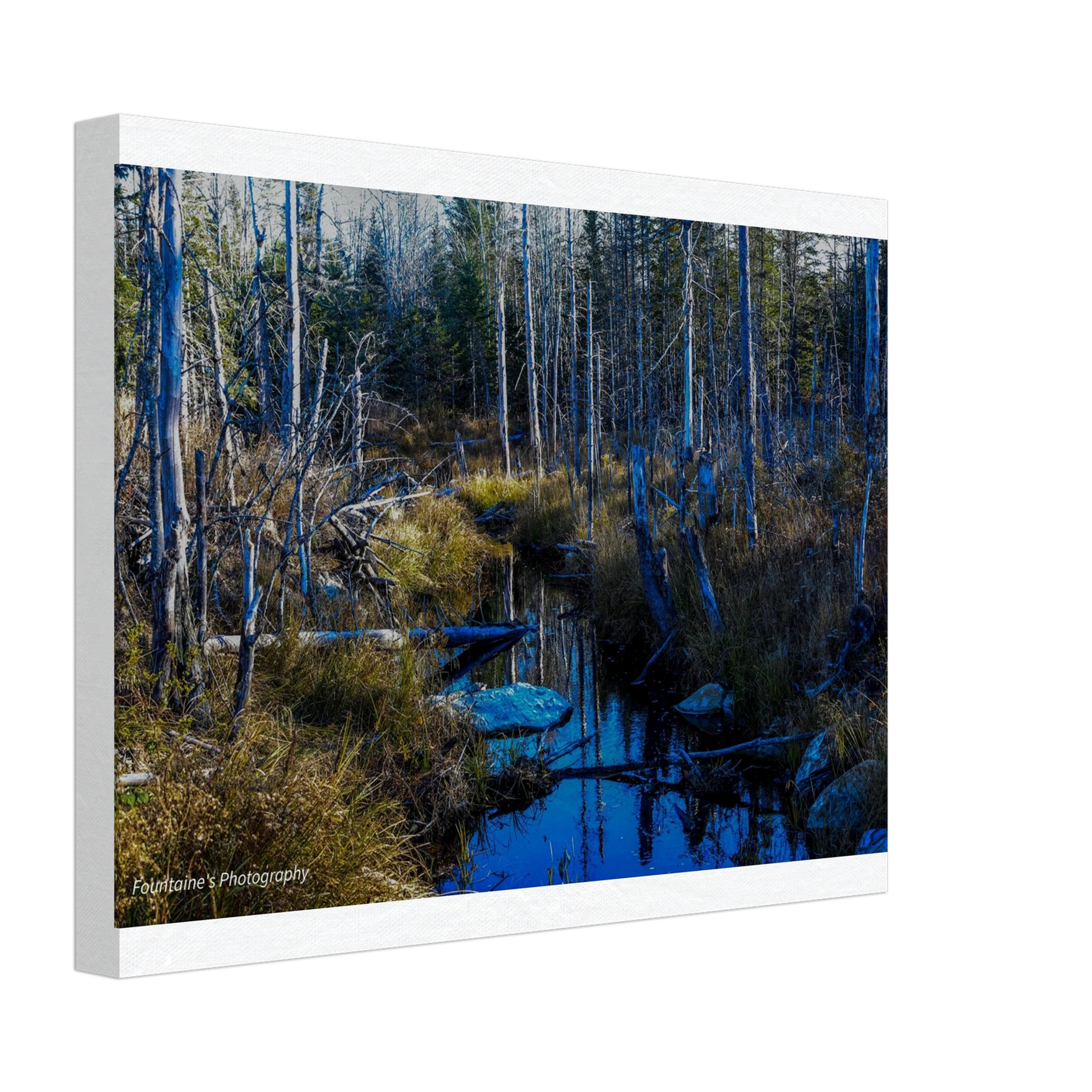 ec95a790-d5f3-4c36-9ff9-843fc68b1e26