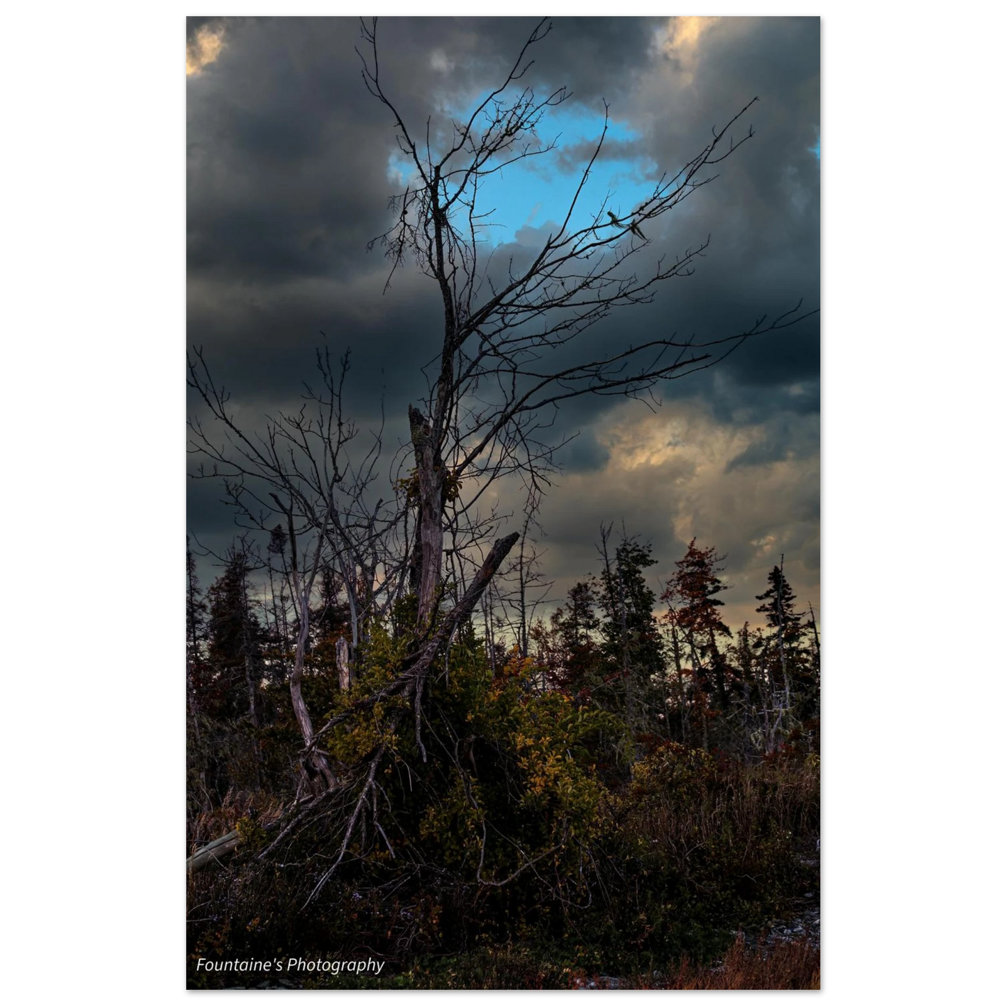 eec2e45c-0a54-484d-941c-7ec3a758ade2